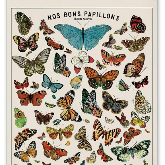 Other - Vintage Butterfly Poster with Wooden Frame, Cottagecore Room Decor Aesthetic, Re